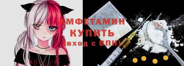 крисы Мегион