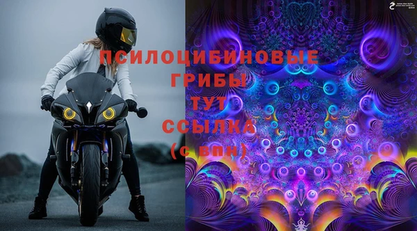 крисы Мегион