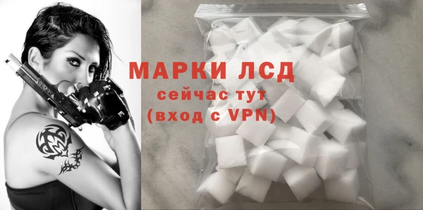 крисы Мегион