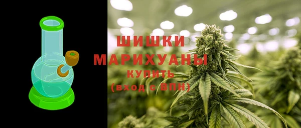 крисы Мегион