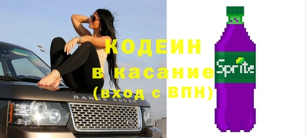 крисы Мегион