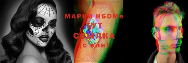 крисы Мегион