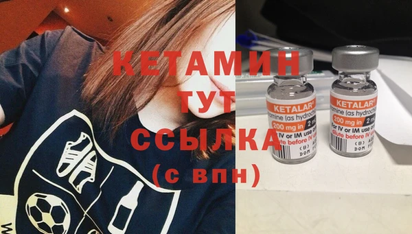 крисы Мегион