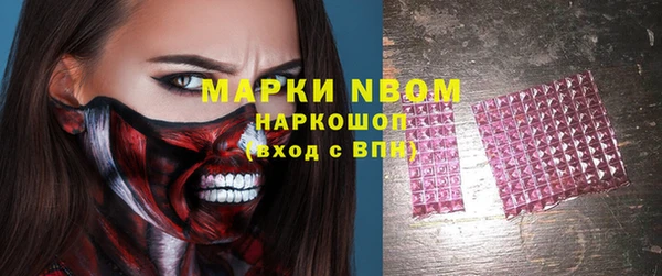 крисы Мегион
