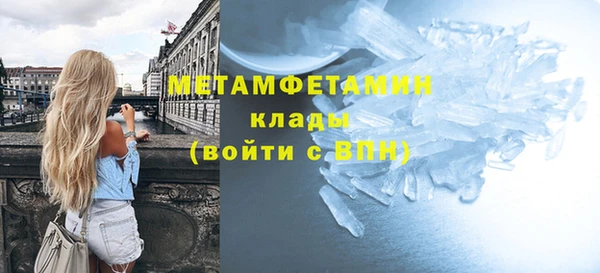крисы Мегион